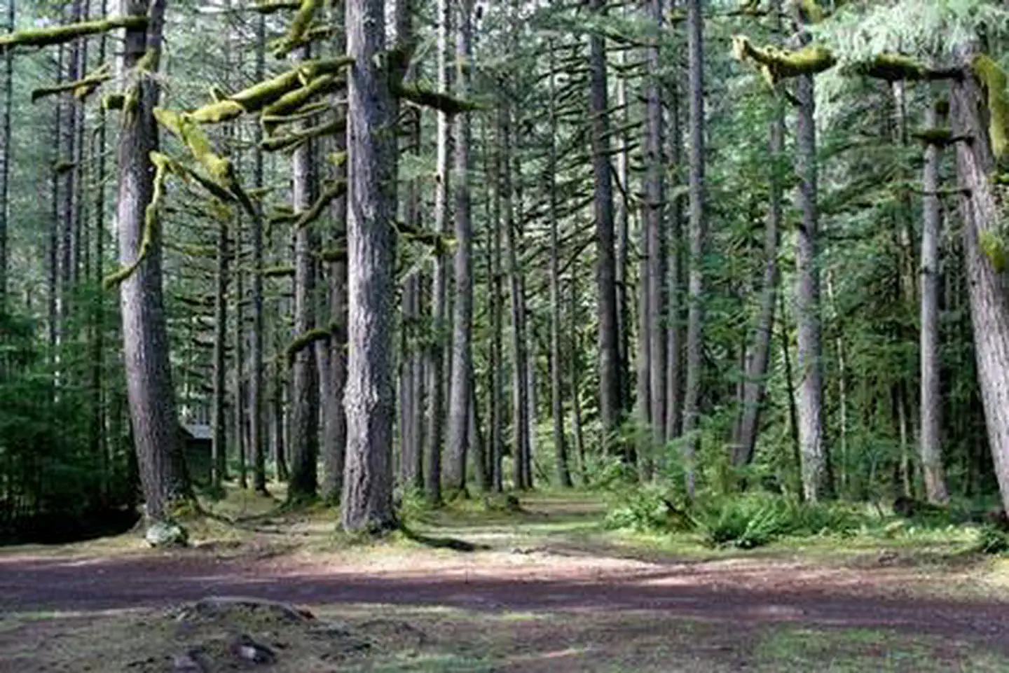 Excelsior Group Camp — Excelsior Group Camp