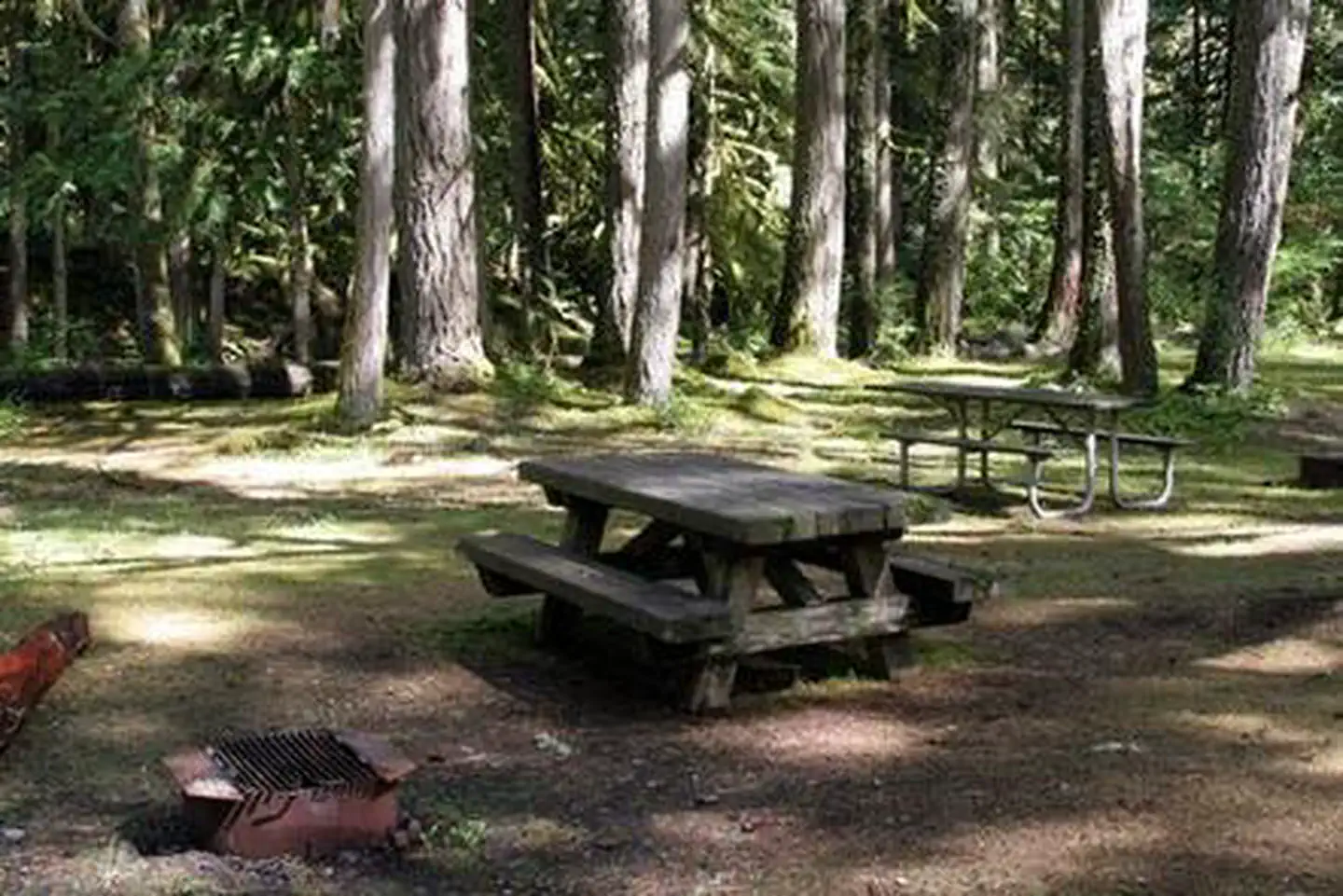 Excelsior Group Camp — Excelsior Group Camp