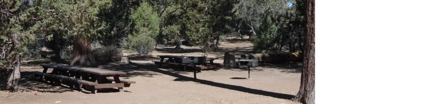 Tanglewood Group Campground