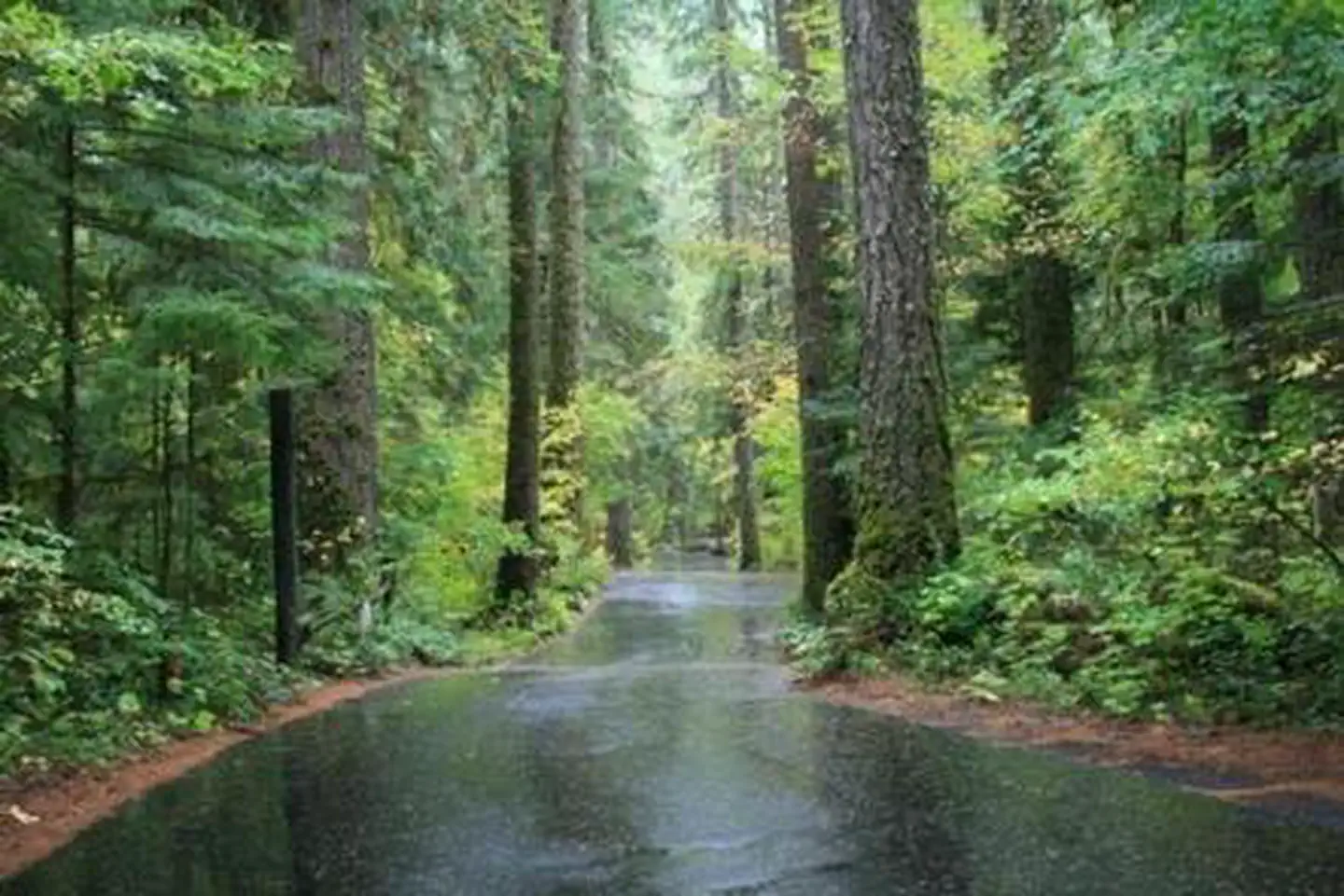 Susan Creek Campground — Susan Creek Campground