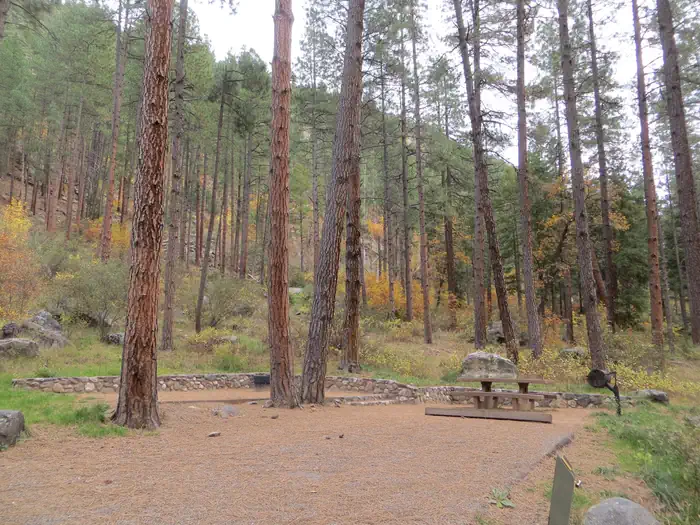Pine Flat Campground West — Pine Flats Campground surrounded by Coconino Forest