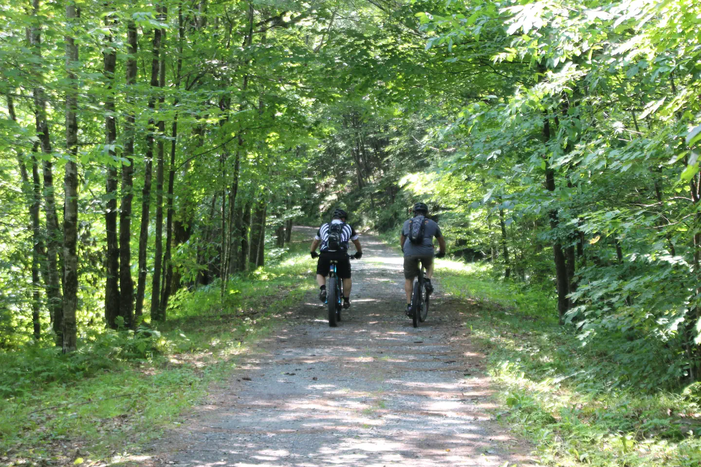 Winhall Brook Camping Area — Winhall Brook West River Trail