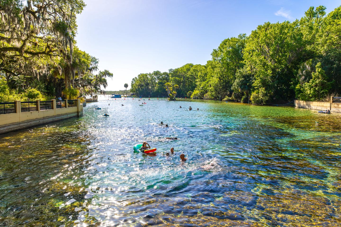 Salt Springs Recreation Area — View of water