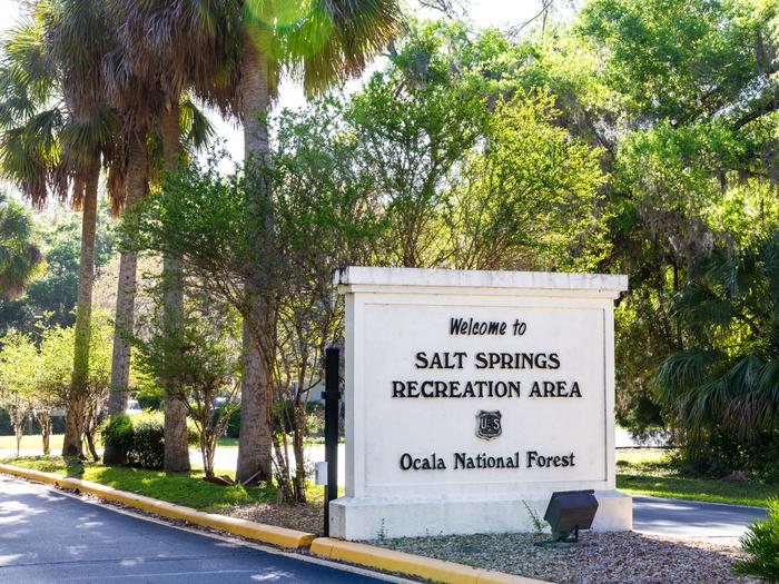 Salt Springs Recreation Area — Welcome to Salt Springs - Entry