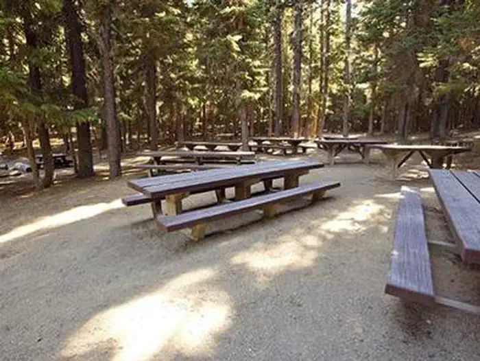 Newberry Group Camp Site — NEWBERRY GROUP CAMP SITE