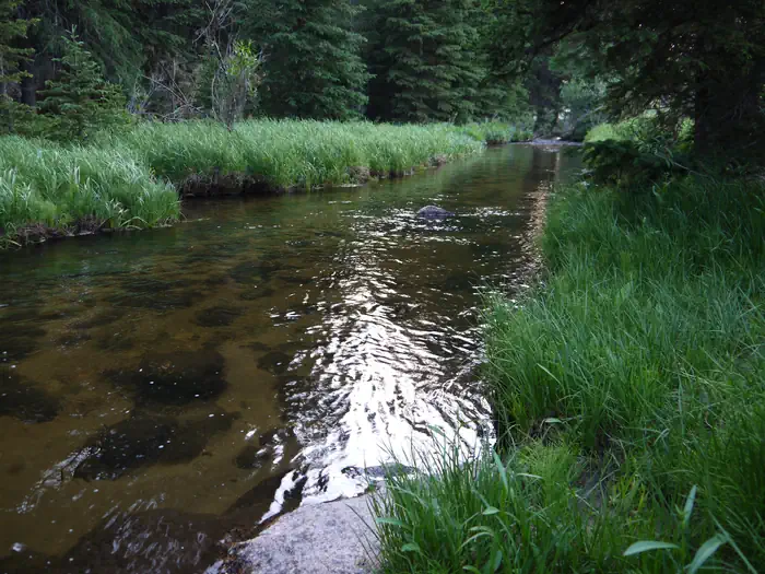Shell Creek — Shell Creek