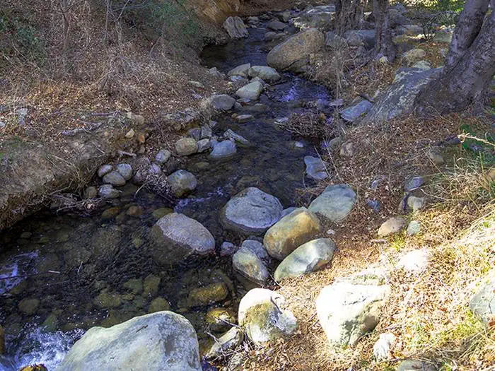 Reyes Creek Campground — REYES CREEK CAMPGROUND11