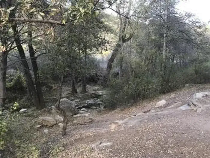 Reyes Creek Campground — REYES CREEK CAMPGROUND