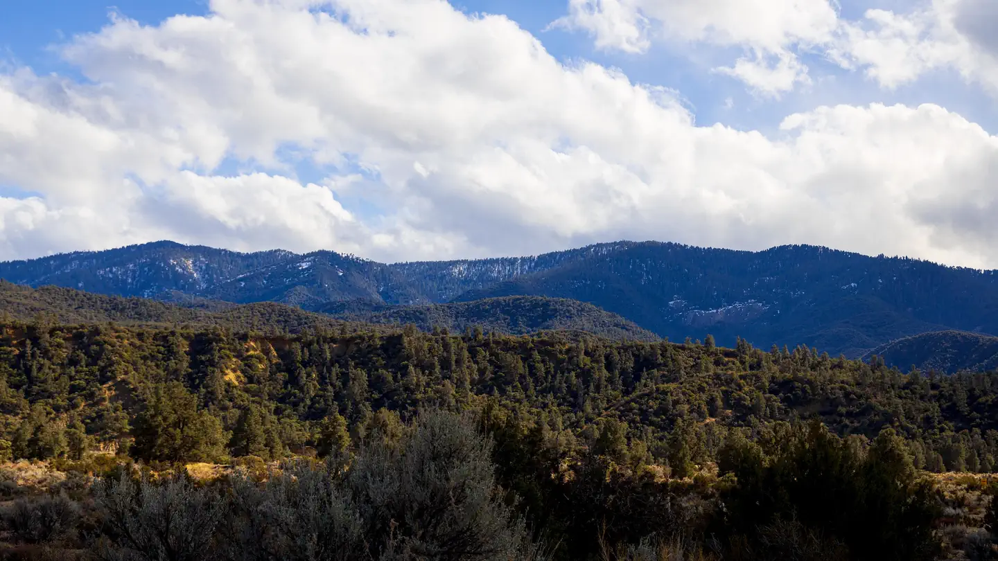Reyes Creek Campground