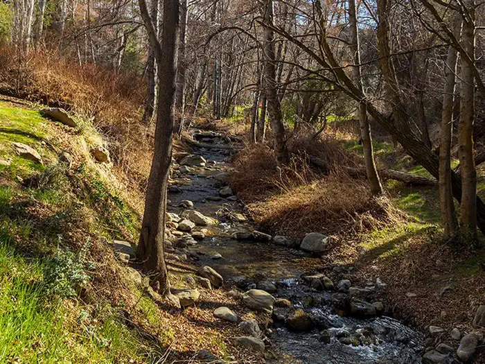 Reyes Creek Campground — REYES CREEK CAMPGROUND112