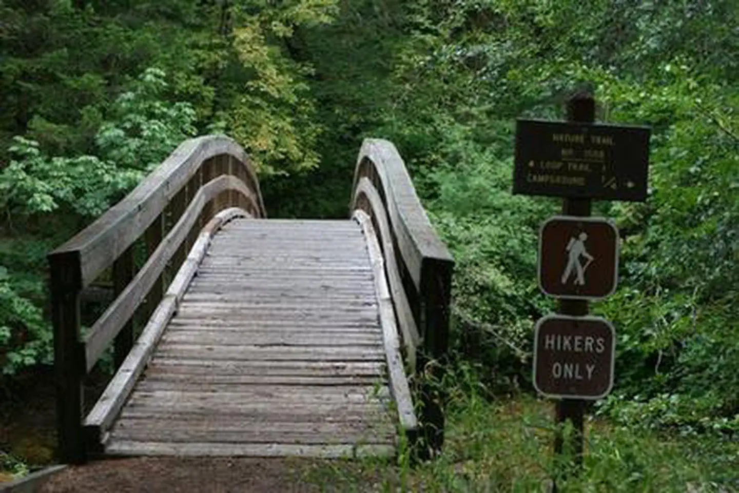 Wolf Creek Group Site — WOLF CREEK GROUP SITE