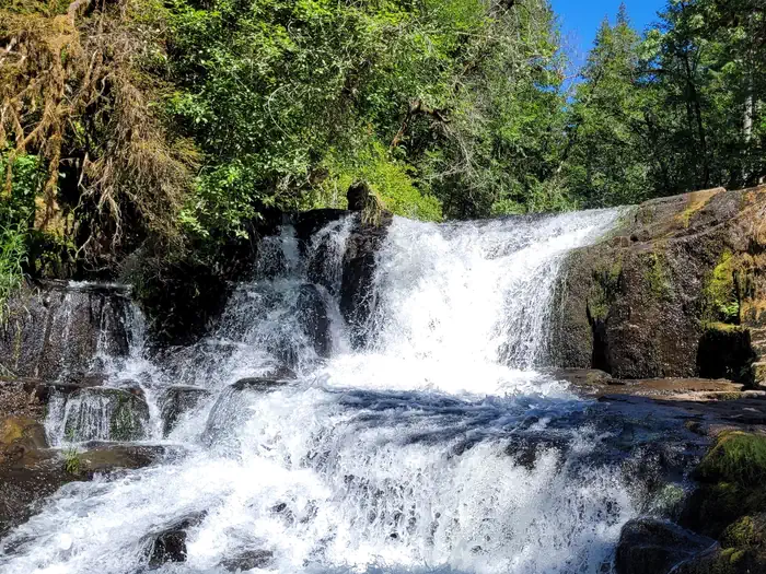 Alsea Falls Recreation Site (campground) — Alsea Falls centered in the photo at close range. The water white and rushing over rocks and the falls are surrounded by green trees and shrubs with a patch of blue sky above.