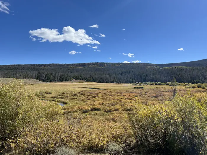 China Meadows