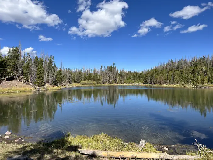 China Meadows — A photo of facility China Meadows Campground with Waterfront