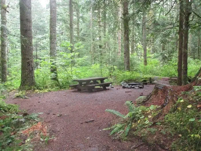 Tinkham Campground — Tinkham Campground