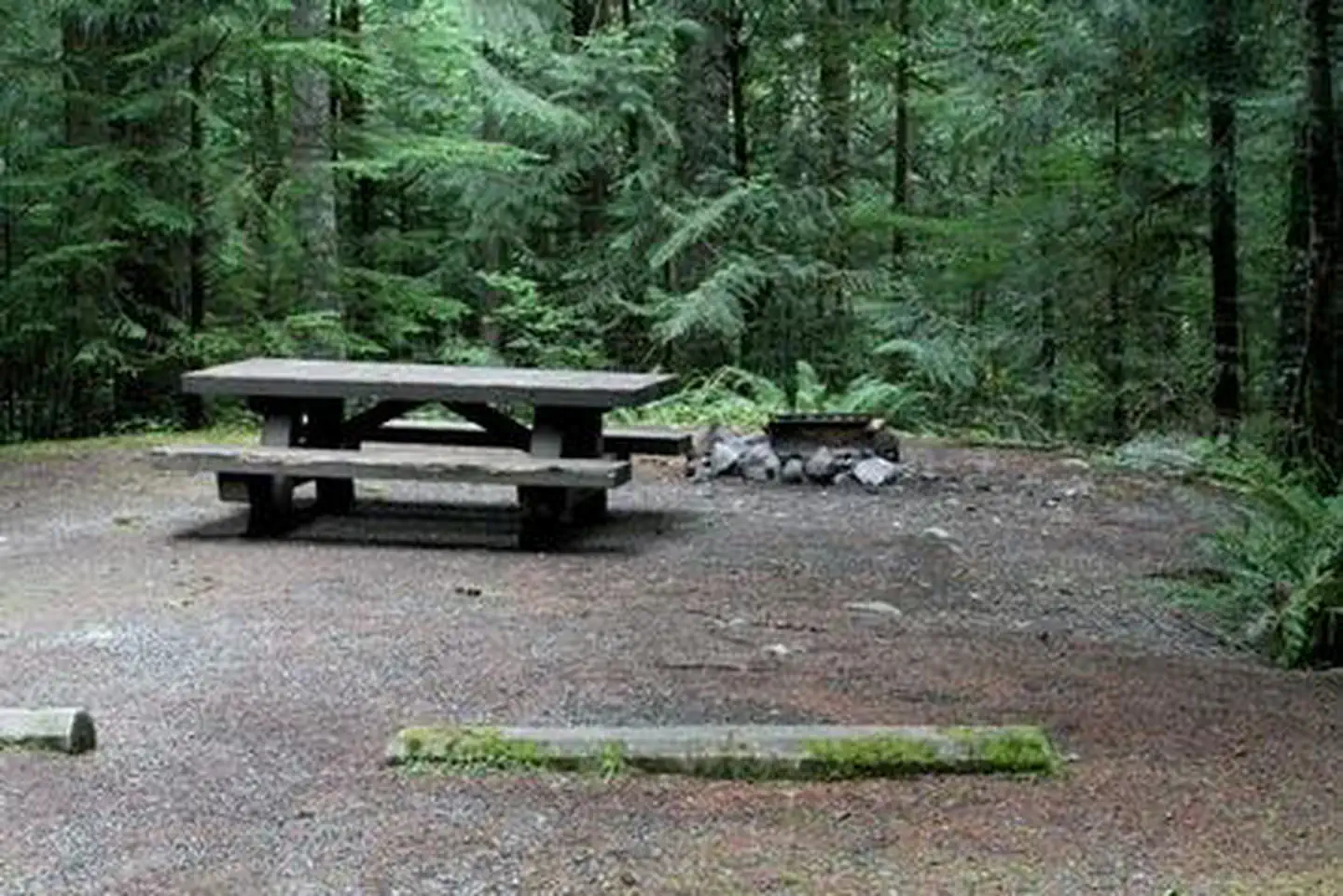 Tinkham Campground — Tinkham Campground