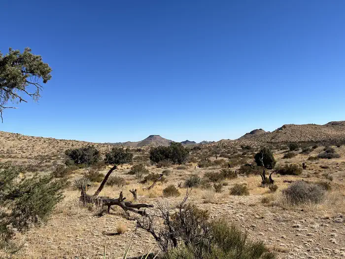 Mid Hills Campground — Overview of Mid Hills Campground