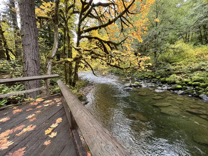 Yukwah Campground — View of the South Santiam from the fishing platform.