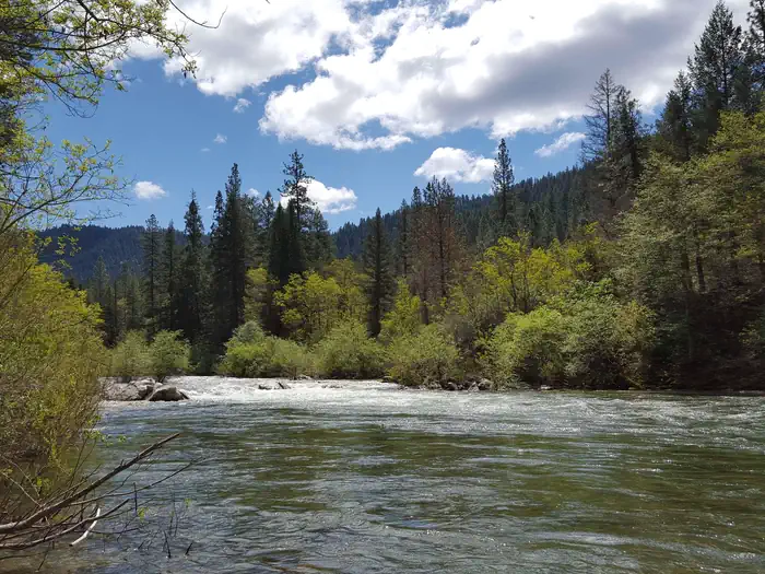 Carlton — North Fork Yuba River