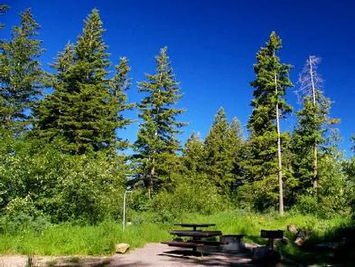 Scout Mountain Campground — Scout Mountain site with trees