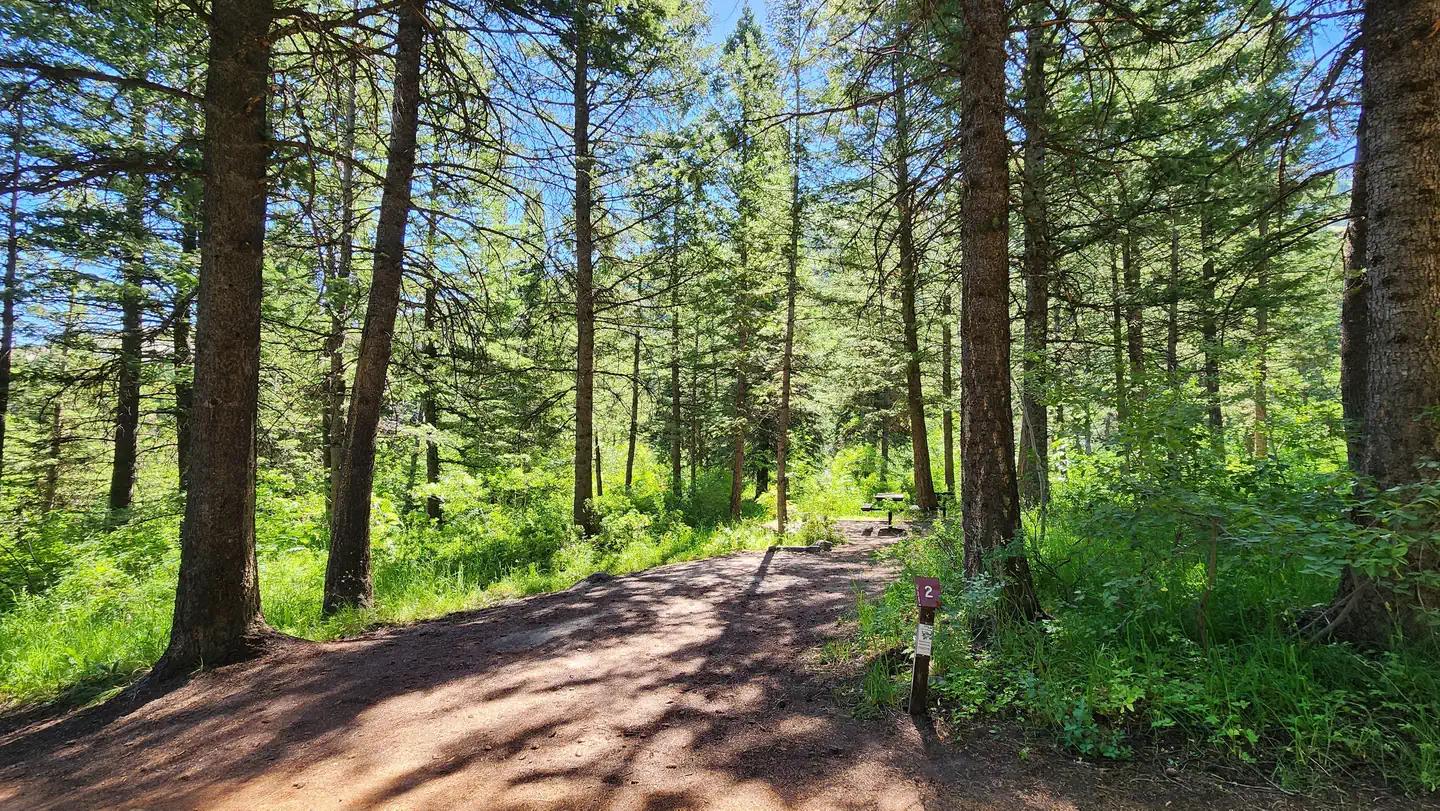 Scout Mountain Campground — Scout Mountain Campground site 2