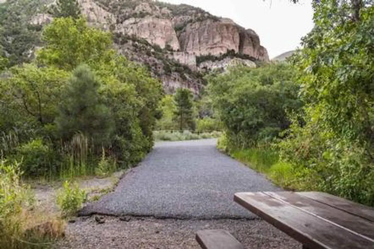 Little Cottonwood Campground — LITTLE COTTONWOOD CAMPGROUND