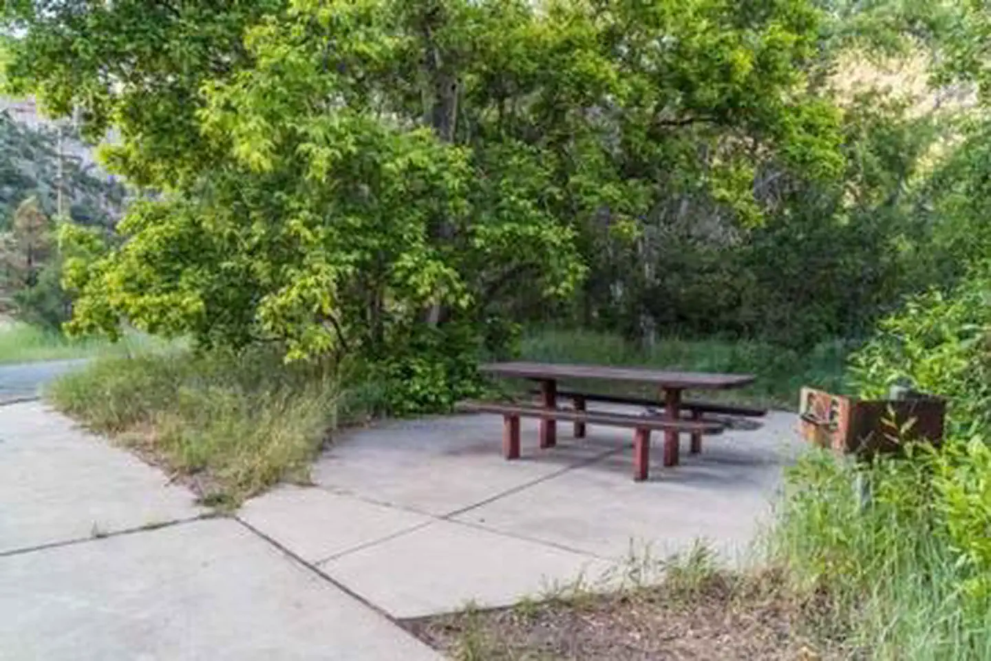 Little Cottonwood Campground — LITTLE COTTONWOOD CAMPGROUND