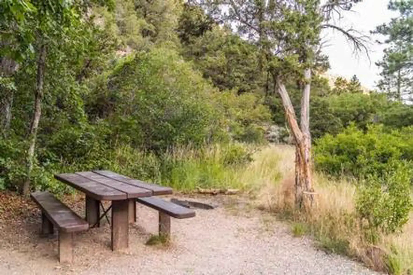 Little Cottonwood Campground — LITTLE COTTONWOOD CAMPGROUND