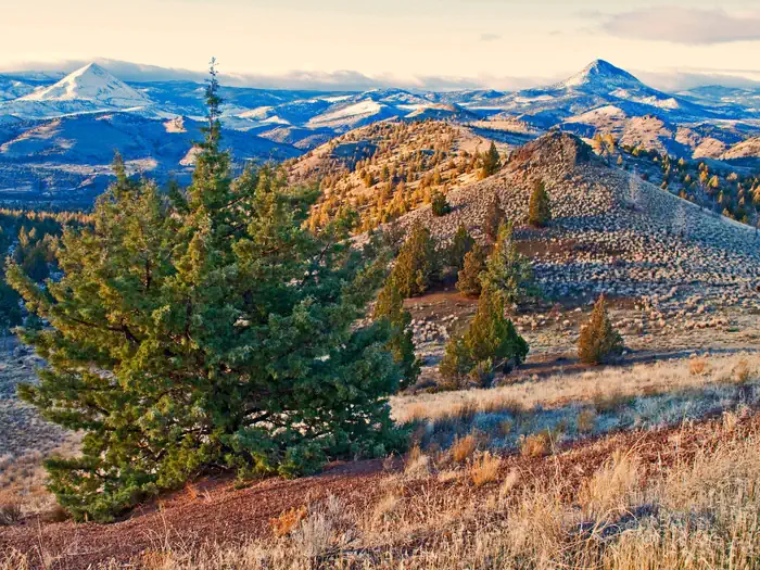 Ochoco Forest Camp β Ochoco Mountains