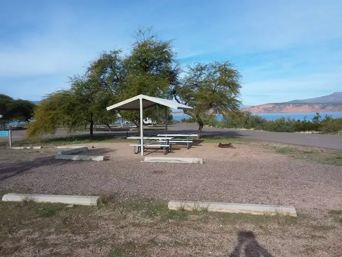 Windy Hill Campground — Windy Hill Campground Coyote 279