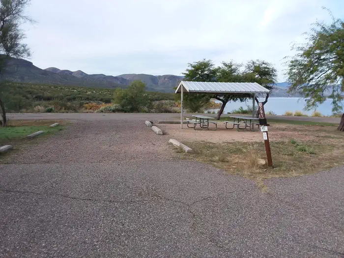 Windy Hill Campground — Windy Hill Campground Coyote 291