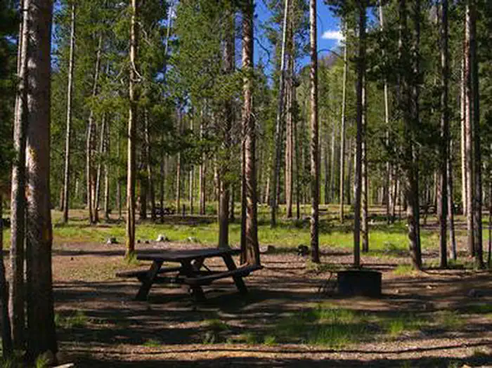 Bonanza CCC Group Campground — BONANZA CCC GROUP CAMPGROUND