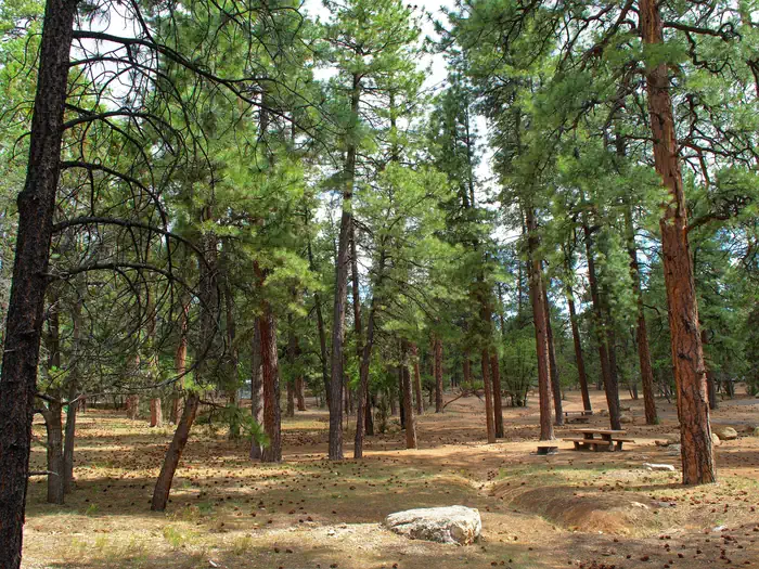Mather Campground — Mather campground staff working to open campground for the season.
