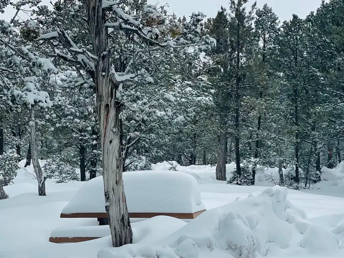 Mather Campground — Mather Campground winter storm 03/01/2023