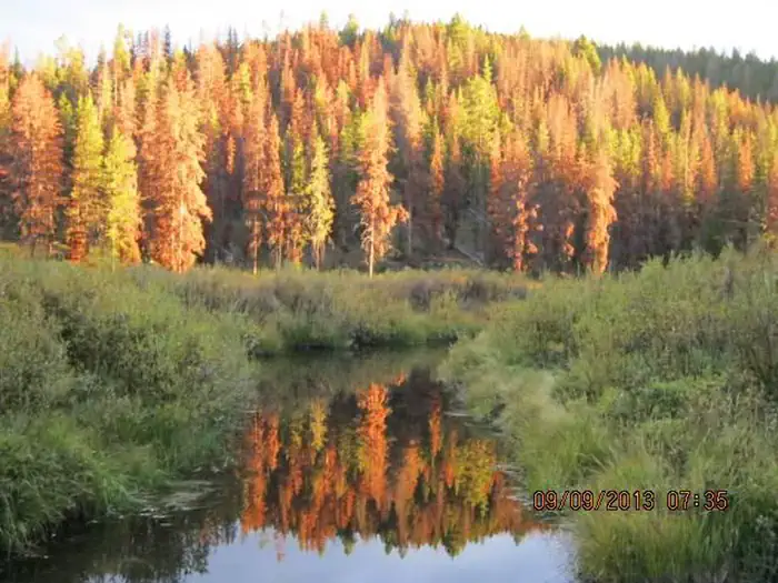 May Creek — MAY CREEK CABIN