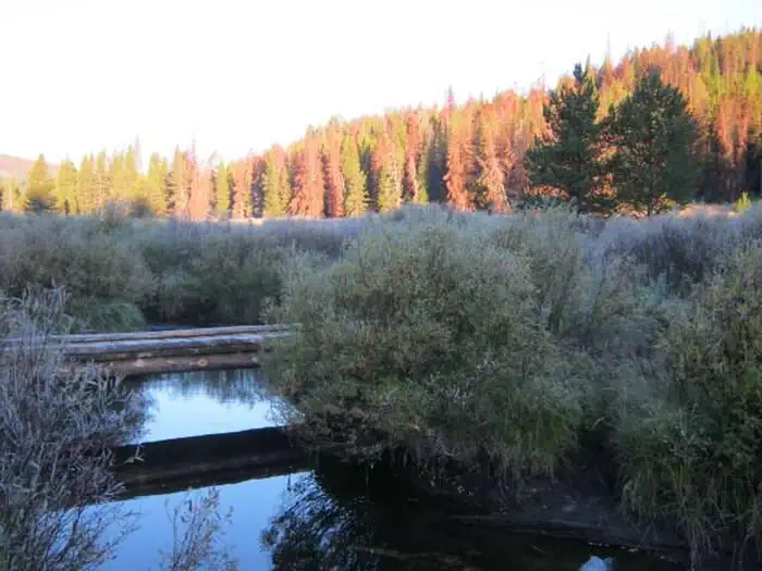 May Creek — May Creek Cabin