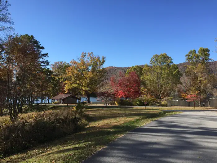 Watauga Point Recreation Area — Watauga Point Day Use Area