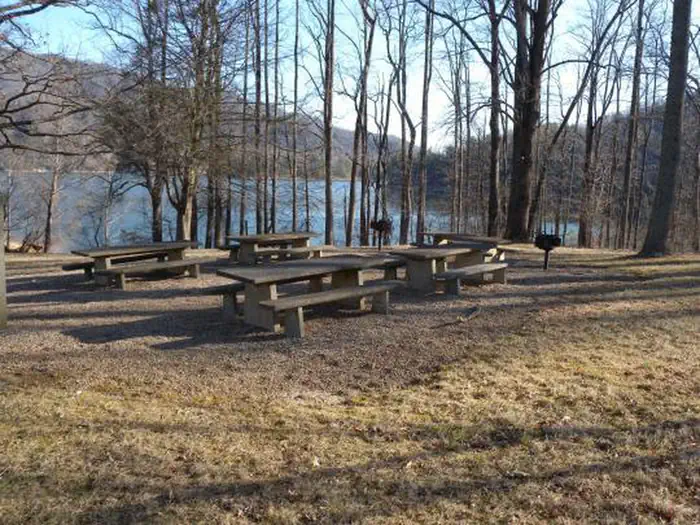 Watauga Point Recreation Area — Watauga Point Picnic Tables