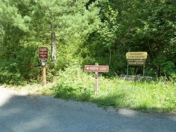 Bumblebee Campground — BUMBLEBEE CAMPGROUND
