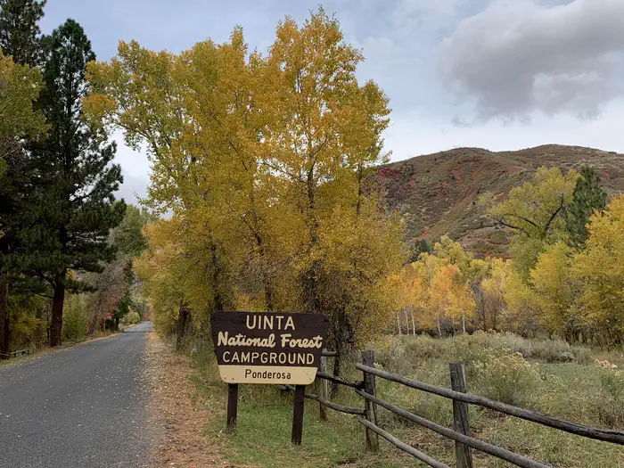 Ponderosa Uinta — Ponderosa Uinta Campground