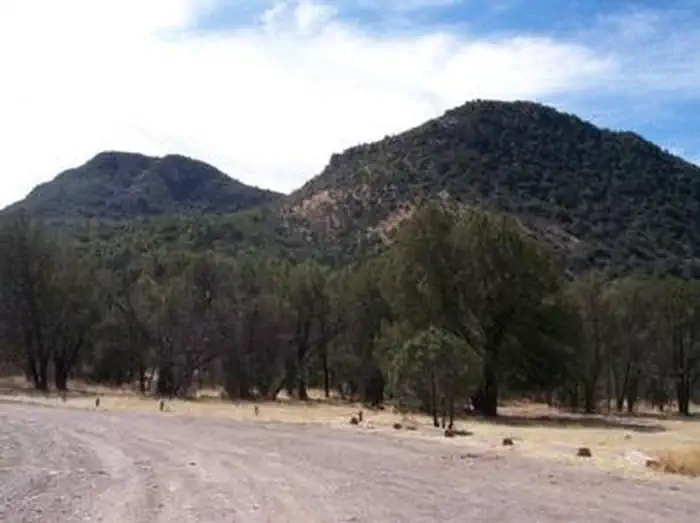 Camp Rucker Group Site β Distant mountains and trees along a road