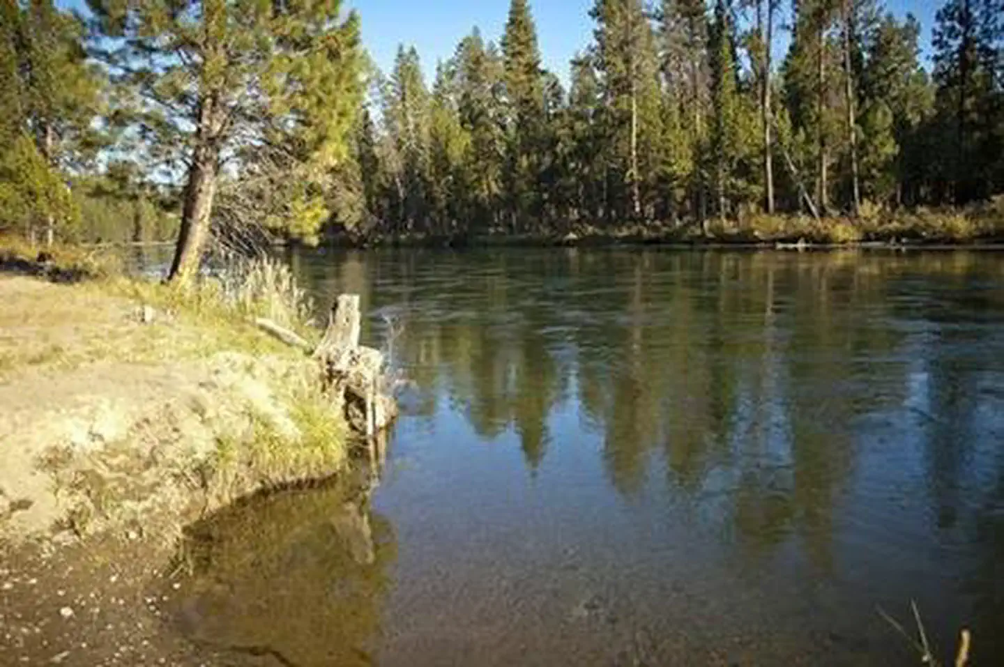 Wyeth Campground at the Deschutes River — WYETH CAMPGROUND - DESCHUTES
