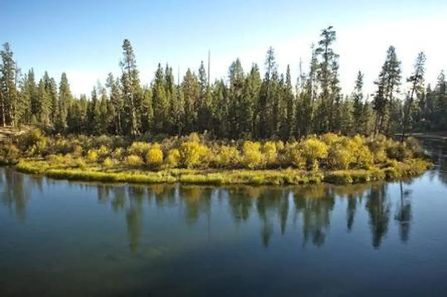 Wyeth Campground at the Deschutes River — WYETH CAMPGROUND - DESCHUTES