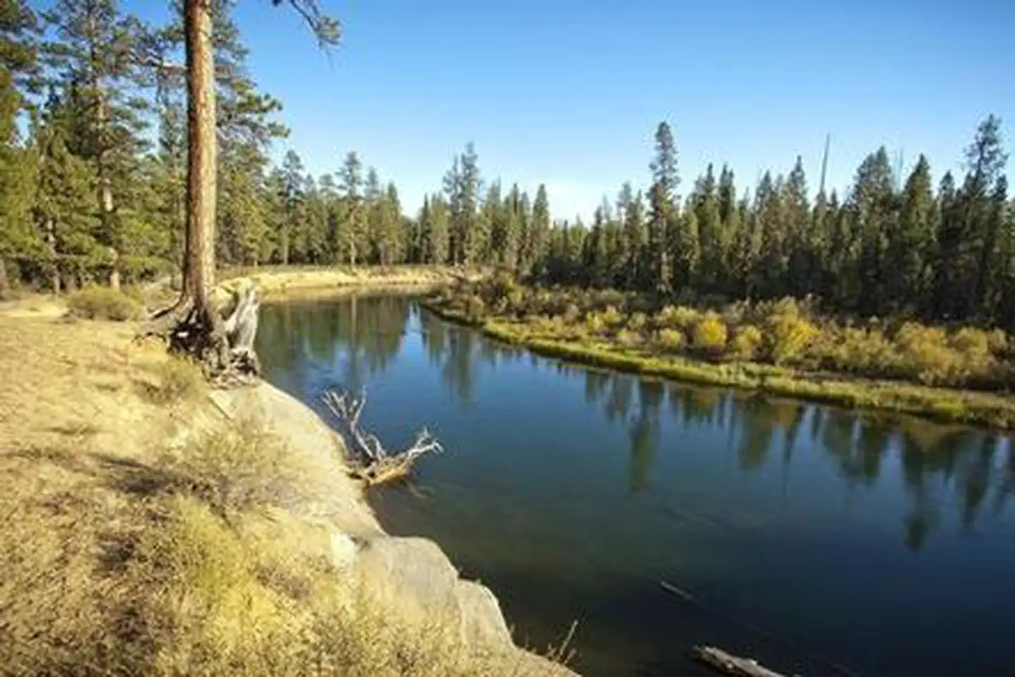 Wyeth Campground at the Deschutes River — WYETH CAMPGROUND - DESCHUTES