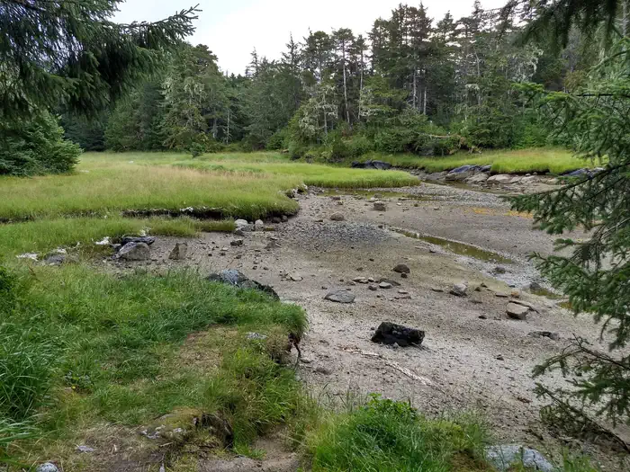 Sevenfathom Bay Cabin β Creek near cabin