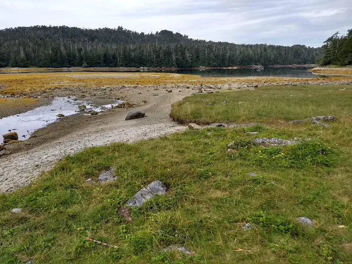 Sevenfathom Bay Cabin β Low tide (2)