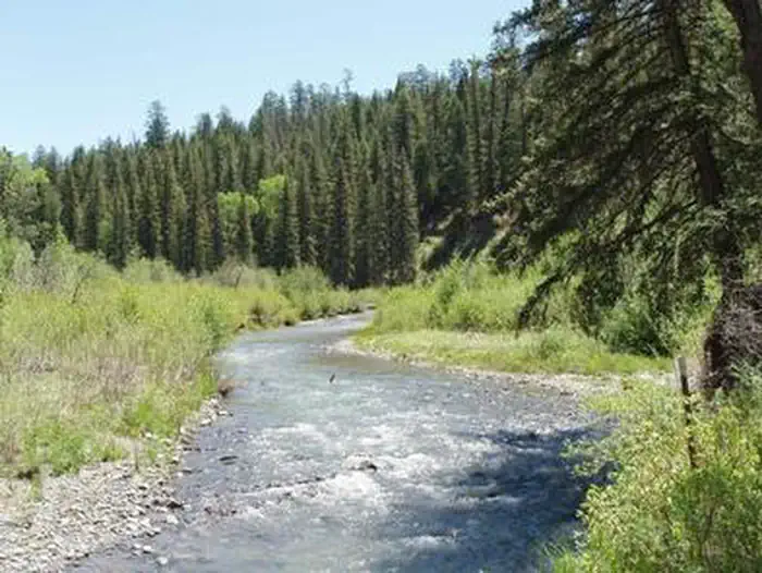 Blanco River Group Campground β BLANCO RIVER GROUP CAMPGROUND