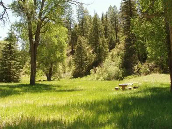 Blanco River Group Campground β BLANCO RIVER GROUP CAMPGROUND