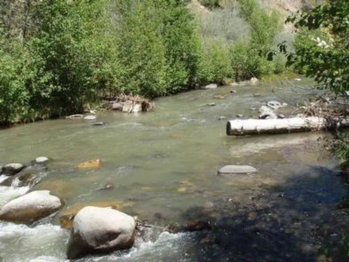 Blanco River Group Campground