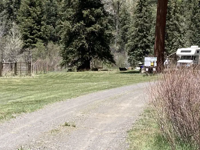 Blanco River Group Campground β A photo of facility BLANCO RIVER GROUP CAMPGROUND with No Amenities Shown